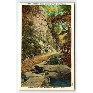Vintage Linen Postcard Autumn Trail Great Smoky Mountains NC